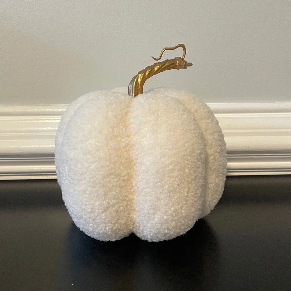 5 for $20: Target sherpa pumpkin